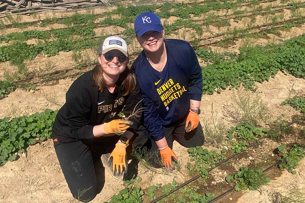 yadmission-farming_web YAD Mission farms in Israel