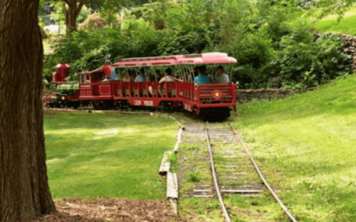 YAD Family Havdalah: Englewood Farm and Train at Belleview Park