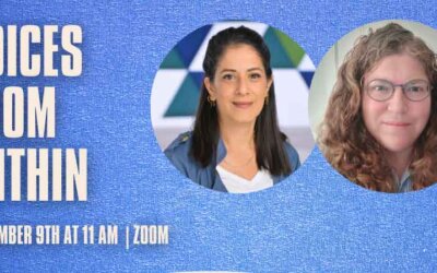 Voices from within Israel