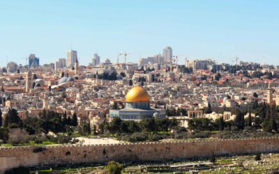 This is My Israeli Story: Omri Hadad