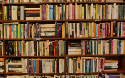 What should I be reading right now?