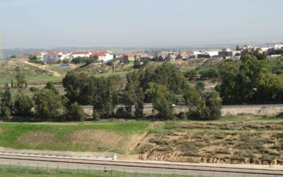 This is My Israeli Story: Shoham Suisa