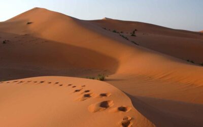 Shabbat Shalom: Things Change…But Let Us Always Remember to Be Counted