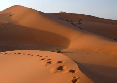 Shabbat Shalom: Things Change…But Let Us Always Remember to Be Counted