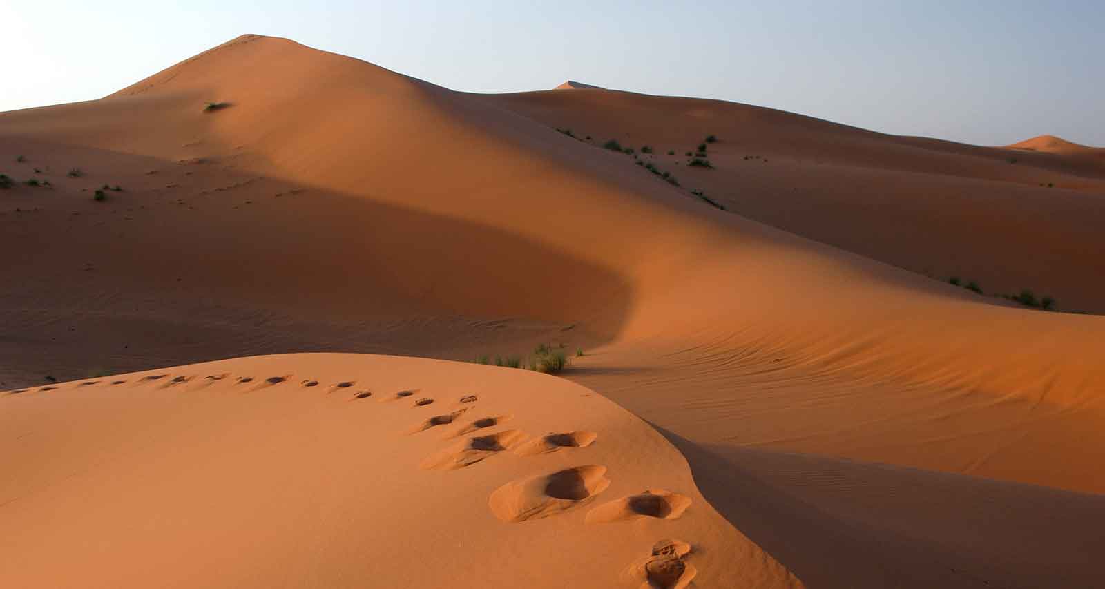 Shabbat Shalom: Things Change…But Let Us Always Remember to Be Counted