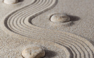 Shabbat Shalom: Legacy, Leadership, and Living Our Values