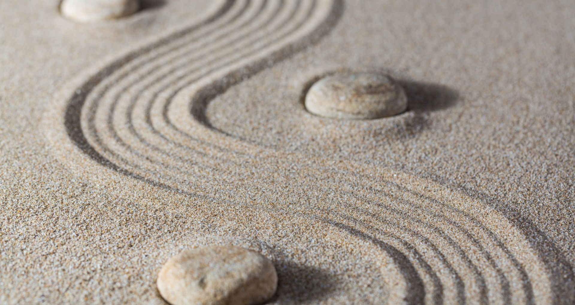 Shabbat Shalom: Legacy, Leadership, and Living Our Values
