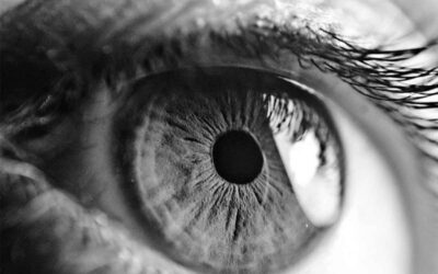 Shabbat Shalom: See and Choose