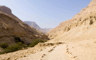 Letter from my heart