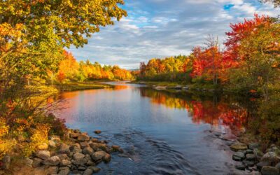 Shabbat Shalom: Answering Our Greatest Threat