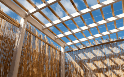 Shabbat Shalom: The Lesson of the Alley Confrontation