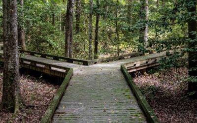 Shabbat Shalom: Go Forth, Go to Yourself