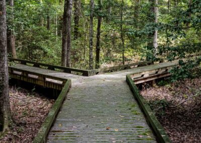 Shabbat Shalom: Go Forth, Go to Yourself