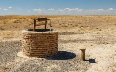 Shabbat Shalom: Rebecca’s Open Tent