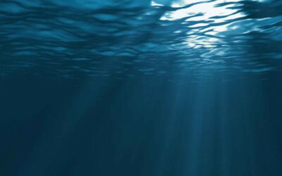 Shabbat Shalom: Courage Beneath the Surface