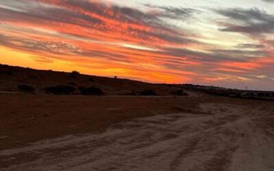 This is My Israeli Story: Alma Elad