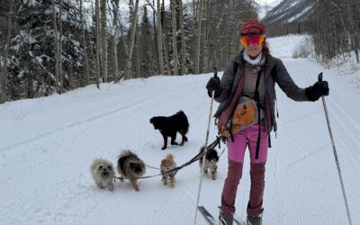 Melinda Goldrich reflects on her new role at the USC Shoah Foundation