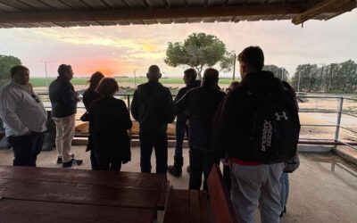 Shabbat Shalom: From Trauma to Resilience