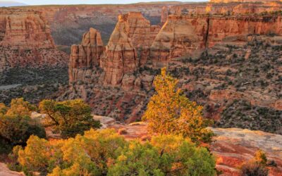 Congregation Ohr Shalom in Grand Junction joins JCRC