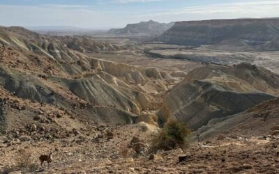 Shabbat Shalom: Hineni – Here I Am