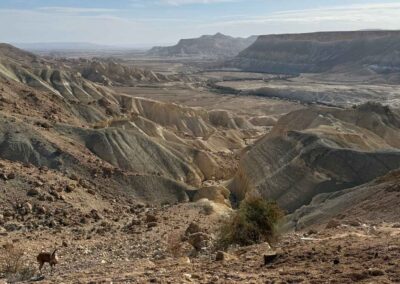 Shabbat Shalom: Hineni – Here I Am