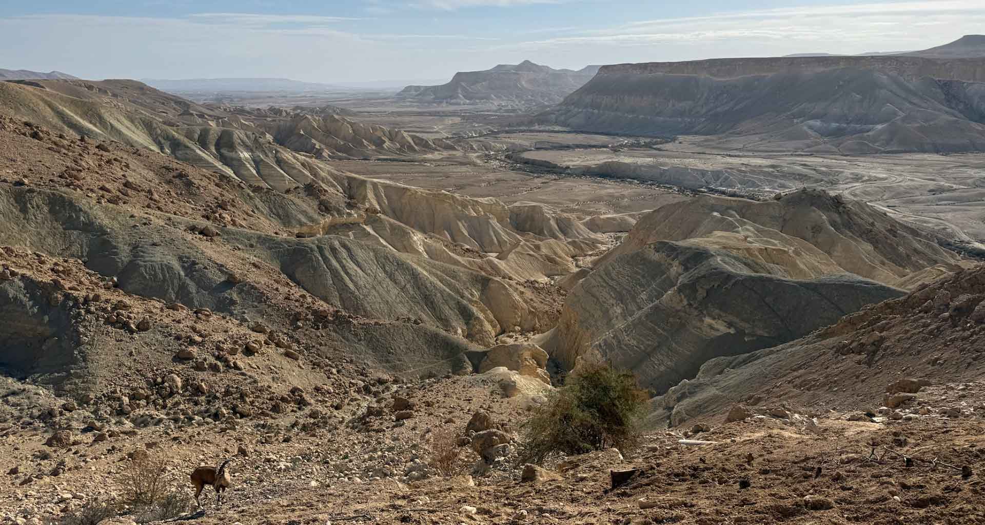 Shabbat Shalom: Hineni – Here I Am