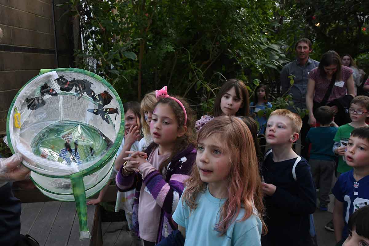 Community-Wide Family Havdalah