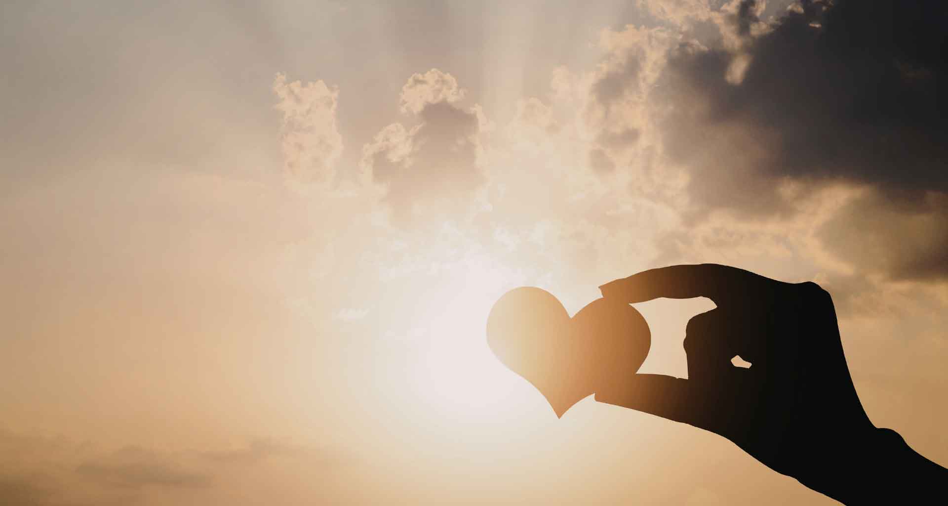 Shabbat Shalom: What Moves Us