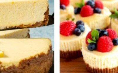 Newcomers Social & Shavuot Celebration