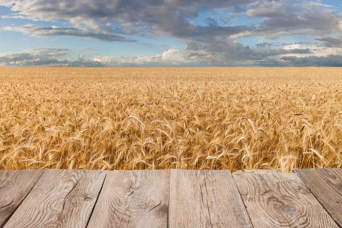 Shavuot