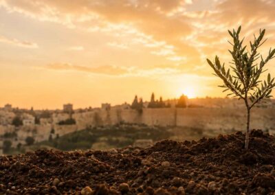 Shabbat Shalom: Planting What Others Will Harvest