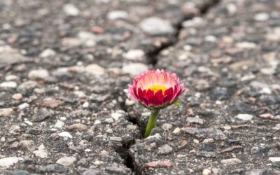 Shabbat Shalom: Growing into Our Voice
