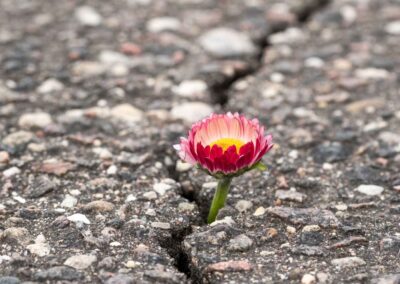 Shabbat Shalom: Growing into Our Voice