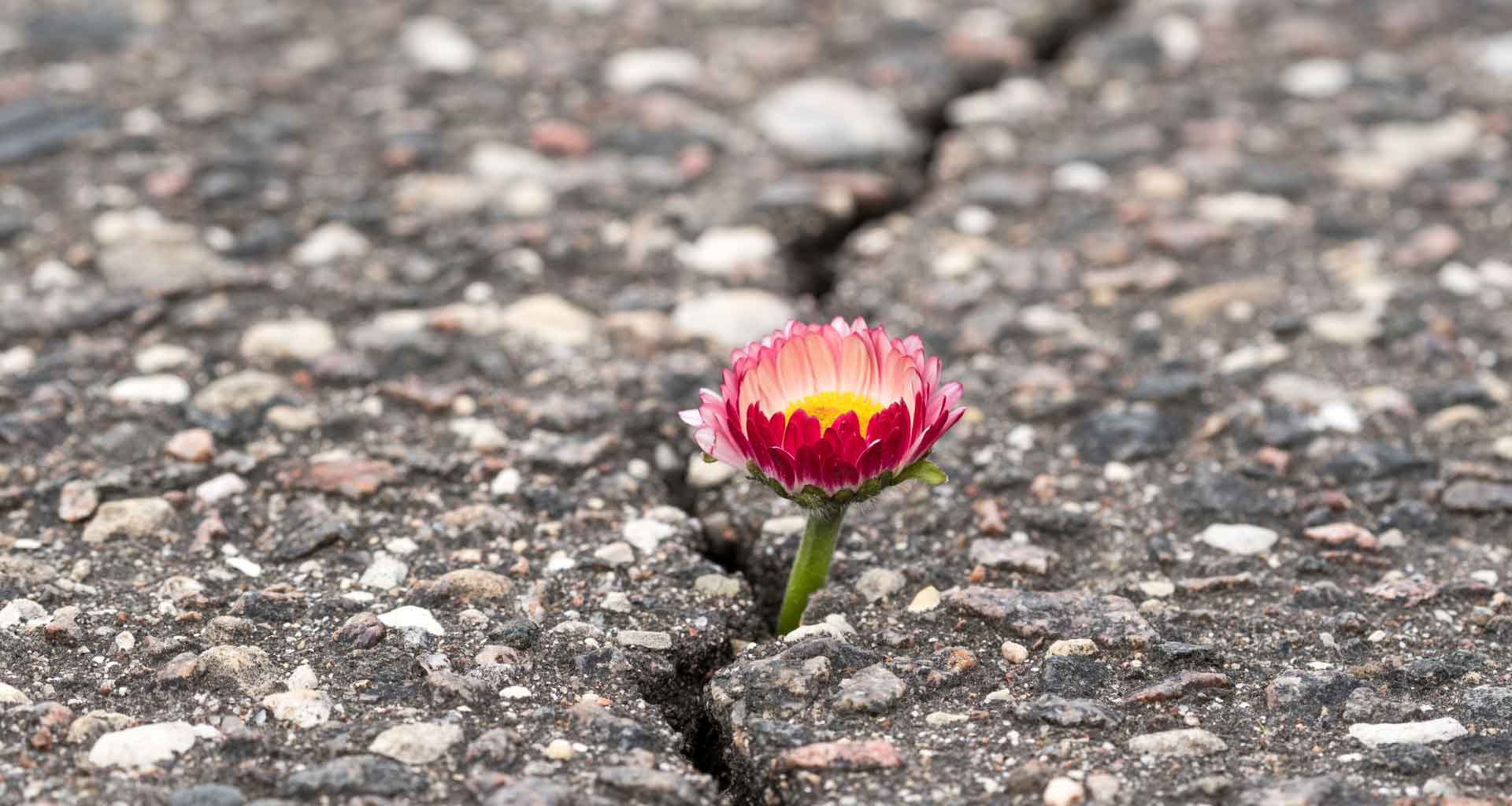 Shabbat Shalom: Growing into Our Voice