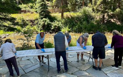 Restoring Hope: Vail Rabbi Repairs Torahs After Synagogue Arson