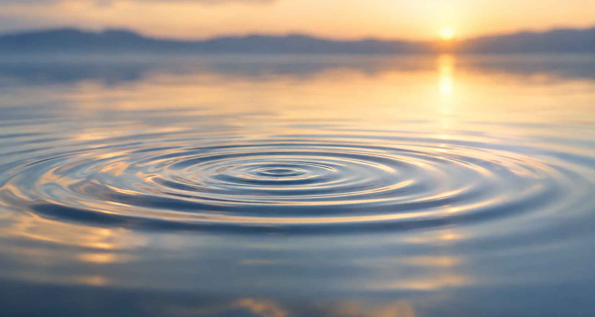 Shabbat Shalom: What We Choose to Carry Forward