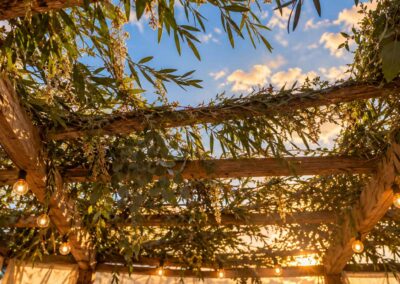 Shabbat Shalom: Finding Home in the Sukkah