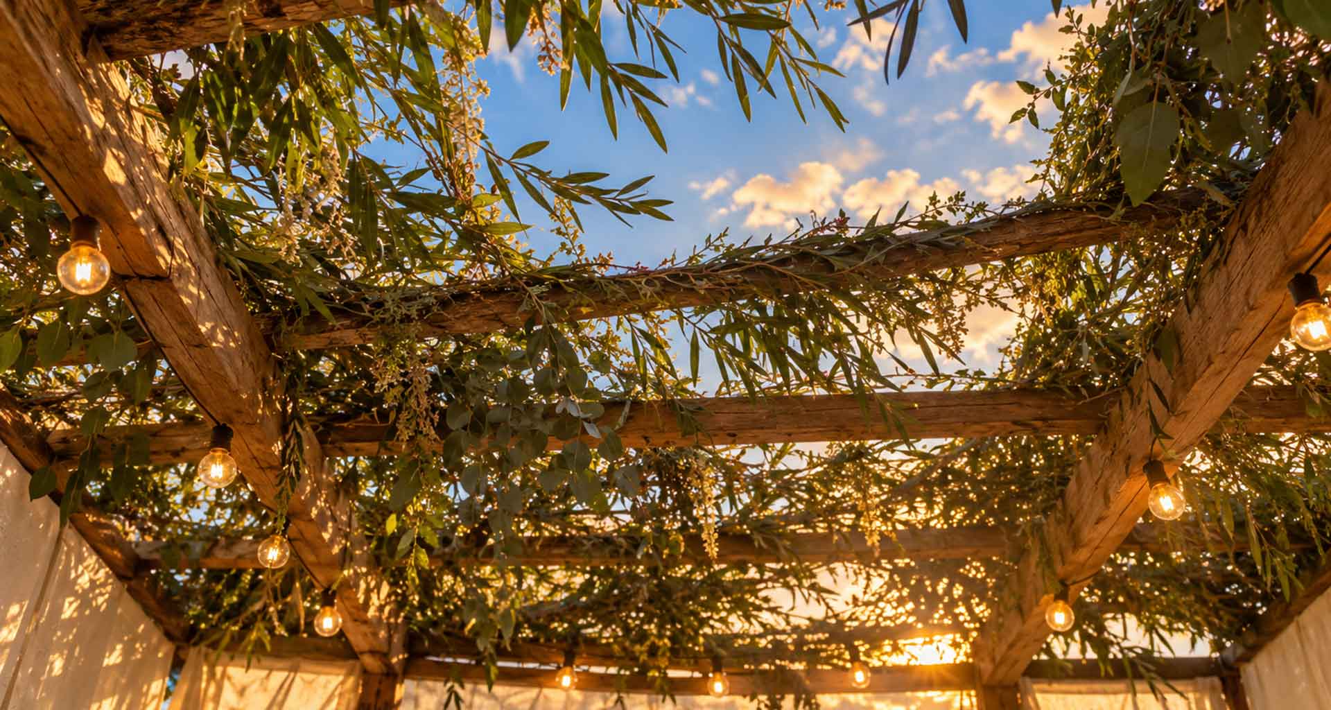 Shabbat Shalom: Finding Home in the Sukkah